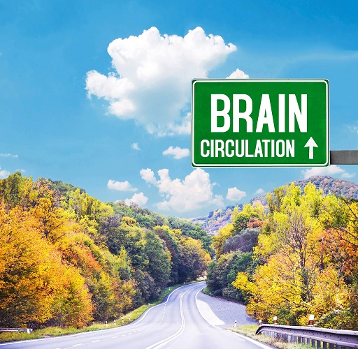 More brain circulation less brain drain